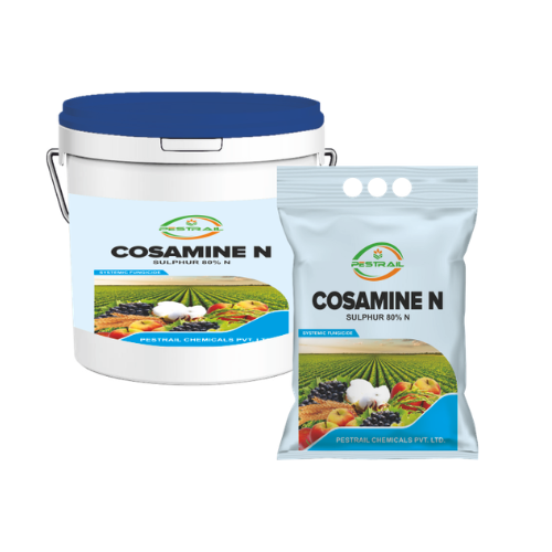 COSAMINE N